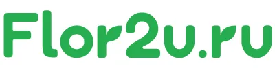 Превью предложения Flor2u.